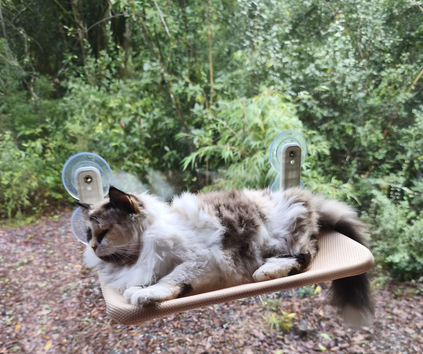 Sky Nap