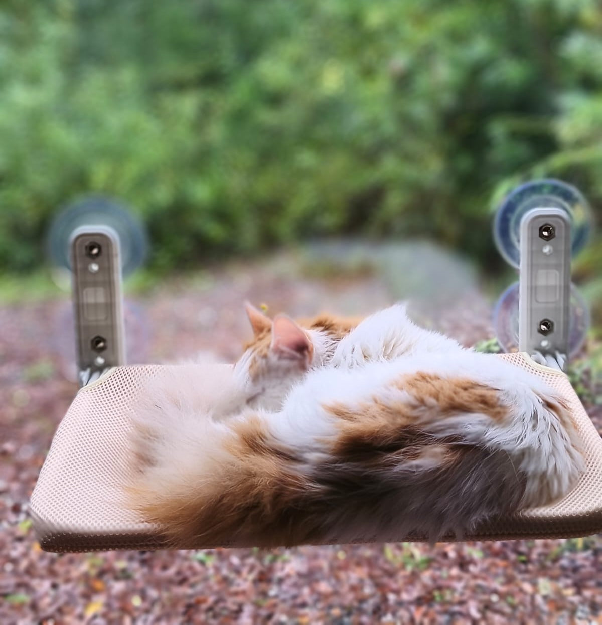Sky Nap